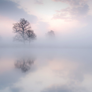 女人透男人视频
